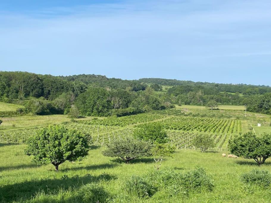 Chai Nous ! Maison Renovee Sur Un Domaine Viticole Proche De Saint Emilion Gardegan-et-Tourtirac Exterior foto
